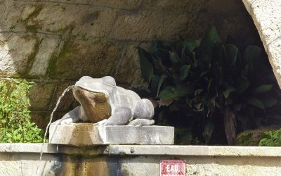La Grenouille de Saint-Geniès-de-Fontedit à l&rsquo;honneur sur Ici Hérault